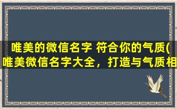 唯美的微信名字 符合你的气质(唯美微信名字大全，打造与气质相符的昵称)